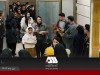 رشد ۴ برابری اشتغال بانوان در منطقه گل گهر